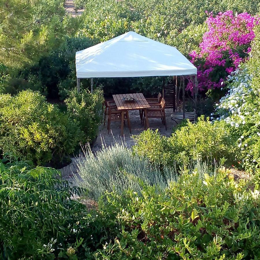 Вілла Aegina'S Oasis Екстер'єр фото