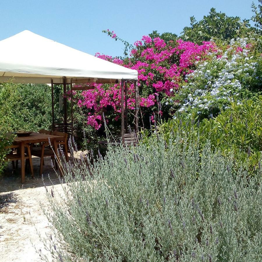 Вілла Aegina'S Oasis Екстер'єр фото