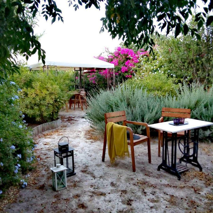 Вілла Aegina'S Oasis Екстер'єр фото