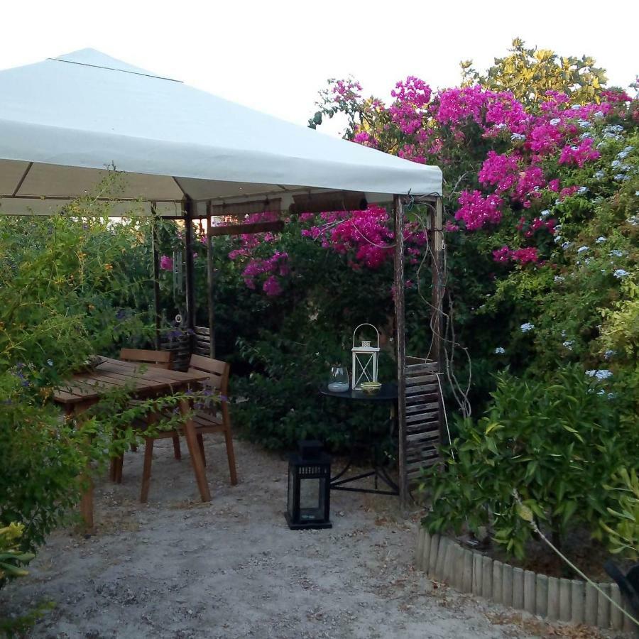 Вілла Aegina'S Oasis Екстер'єр фото